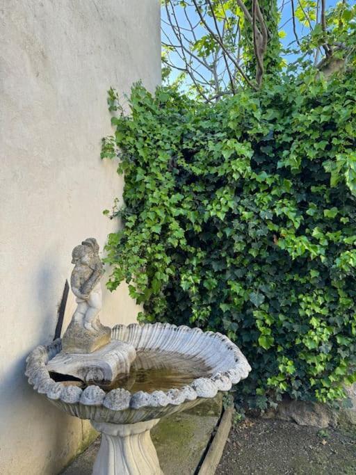 Appartement De Plain-Pied Avec Jardin Avignon Exteriör bild