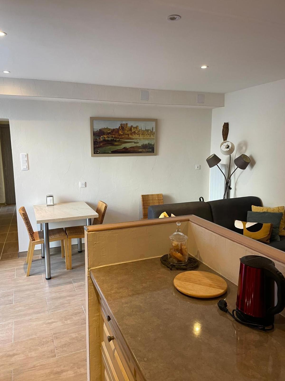 Appartement De Plain-Pied Avec Jardin Avignon Exteriör bild